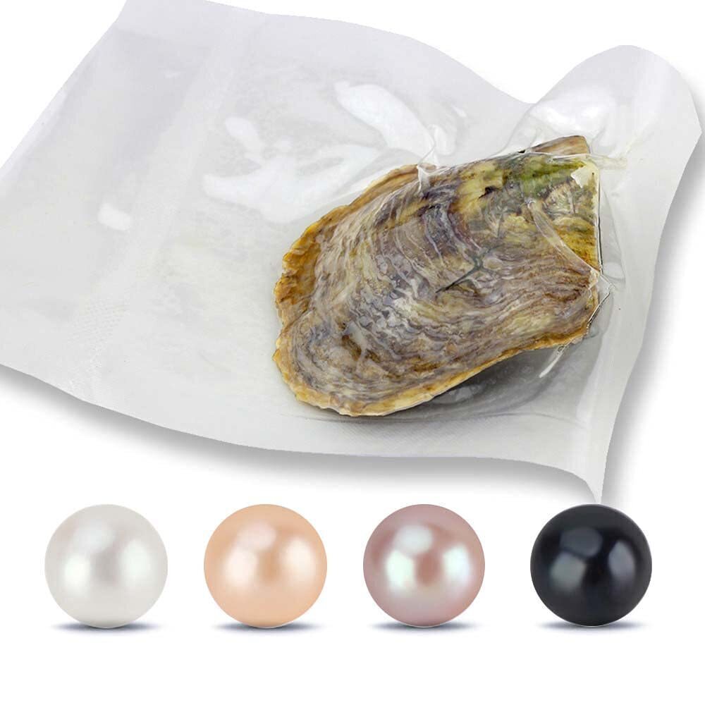 9971 5PCS Akoya Pearl Oysters to Open, Saltwater Cultured Pearl Oyster
